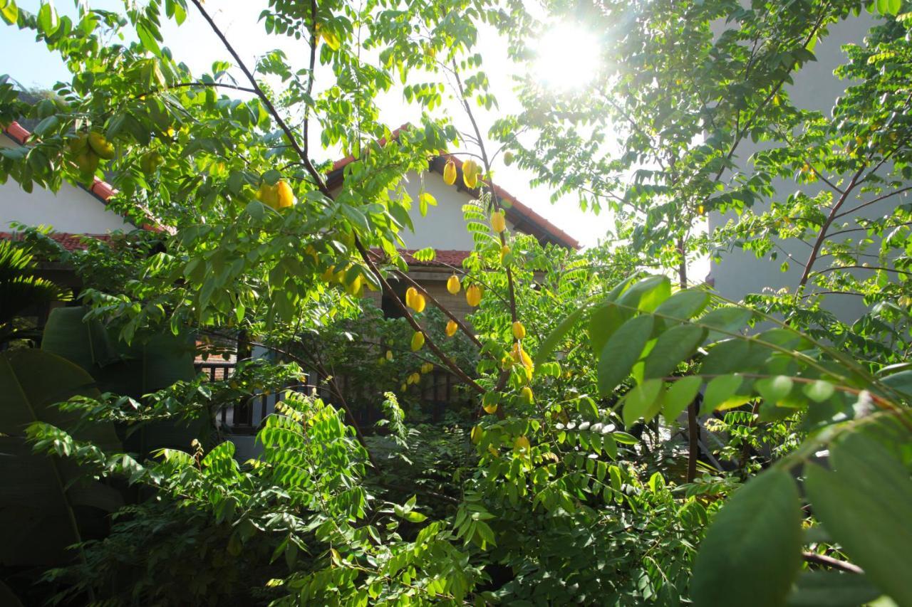 Littletamcoc Boutique Villa Ninh Binh Exterior foto