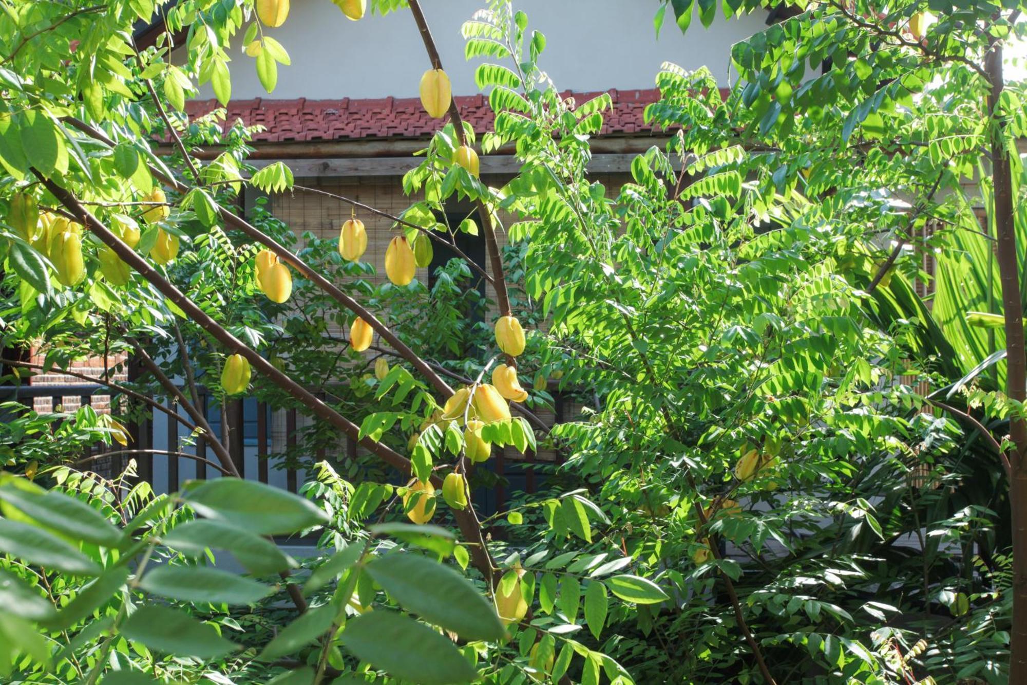 Littletamcoc Boutique Villa Ninh Binh Exterior foto